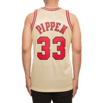 iverson mitchell and ness jersey