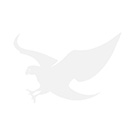 Speedcat Ballet White/Black